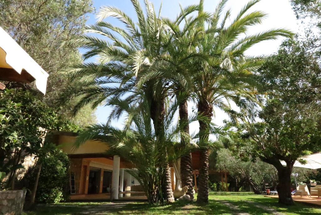Villaggio Garden Park Marina di Camerota Exterior photo